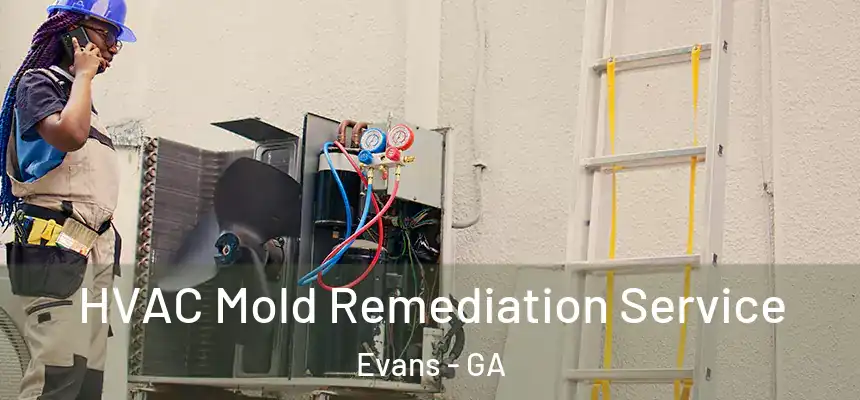  HVAC Mold Remediation Service Evans - GA