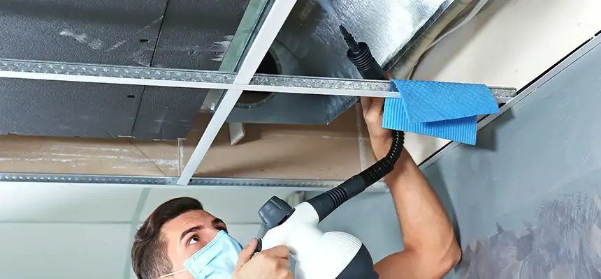 Our Air Duct Rodent Removal Services in Evans, GA