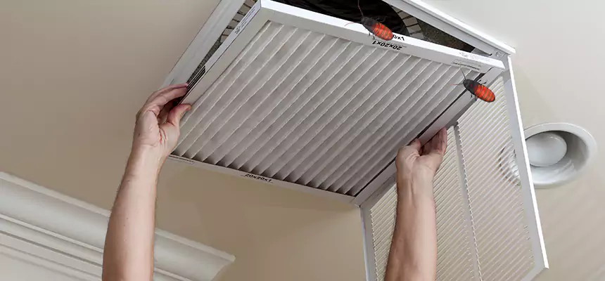 Our Insect Removal from Air Ducts Services in Evans, GA