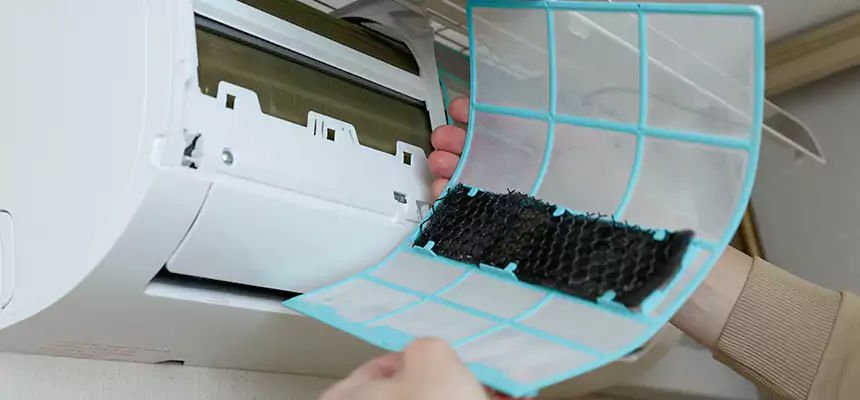 Gentle Ductwork Odor-Control Pet Dander Duct Cleaning in Evans, GA