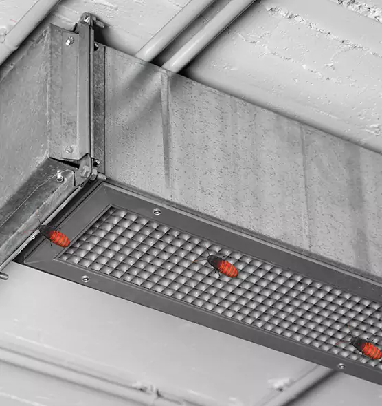 Affordable Insect Removal from Air Ducts in Evans, GA