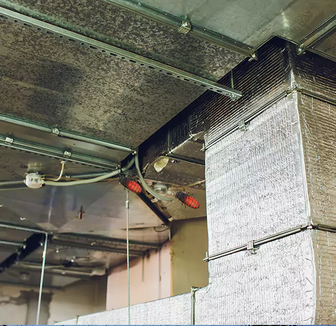 Why Homeowners & Businesses Trust Us in Evans, GA?