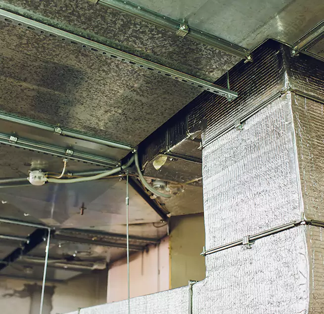 Why Homeowners & Businesses Trust Us in Evans, GA?